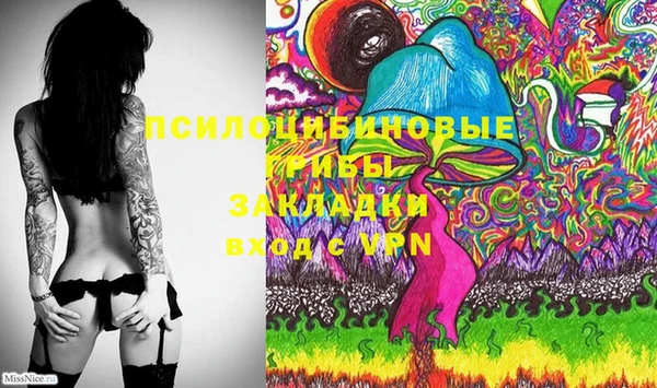 героин Каменка