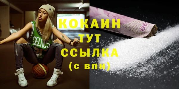 индика Каменск-Шахтинский