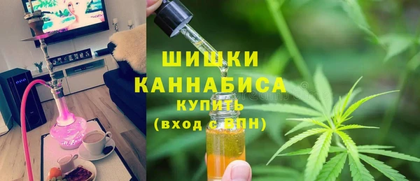 индика Каменск-Шахтинский
